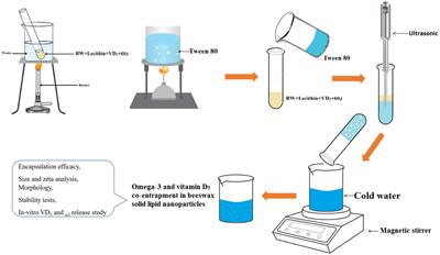 Co-encapsulation of omega-3 and vitamin D3 in beeswax solid lipid nanoparticles to evaluate physicochemical and in vitro release properties